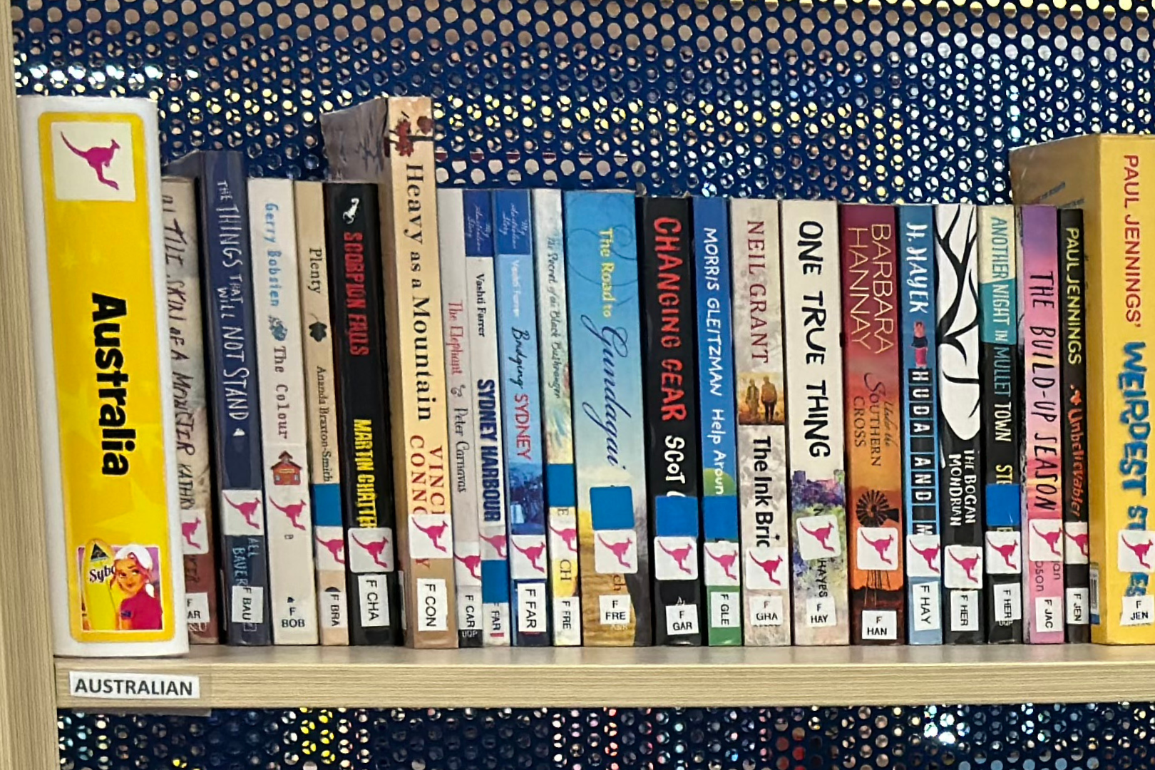 Acrylic Collection Dividers Acrylic Collection Dividers