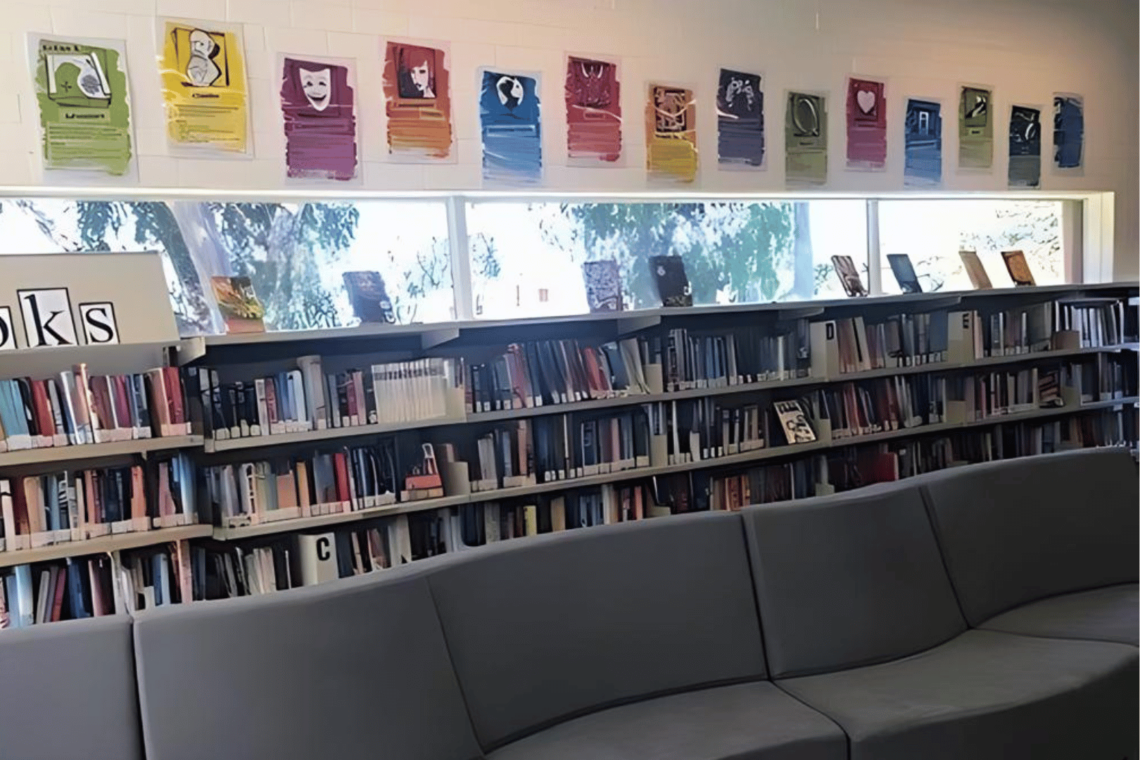 Acrylic Collection Dividers Acrylic Collection Dividers