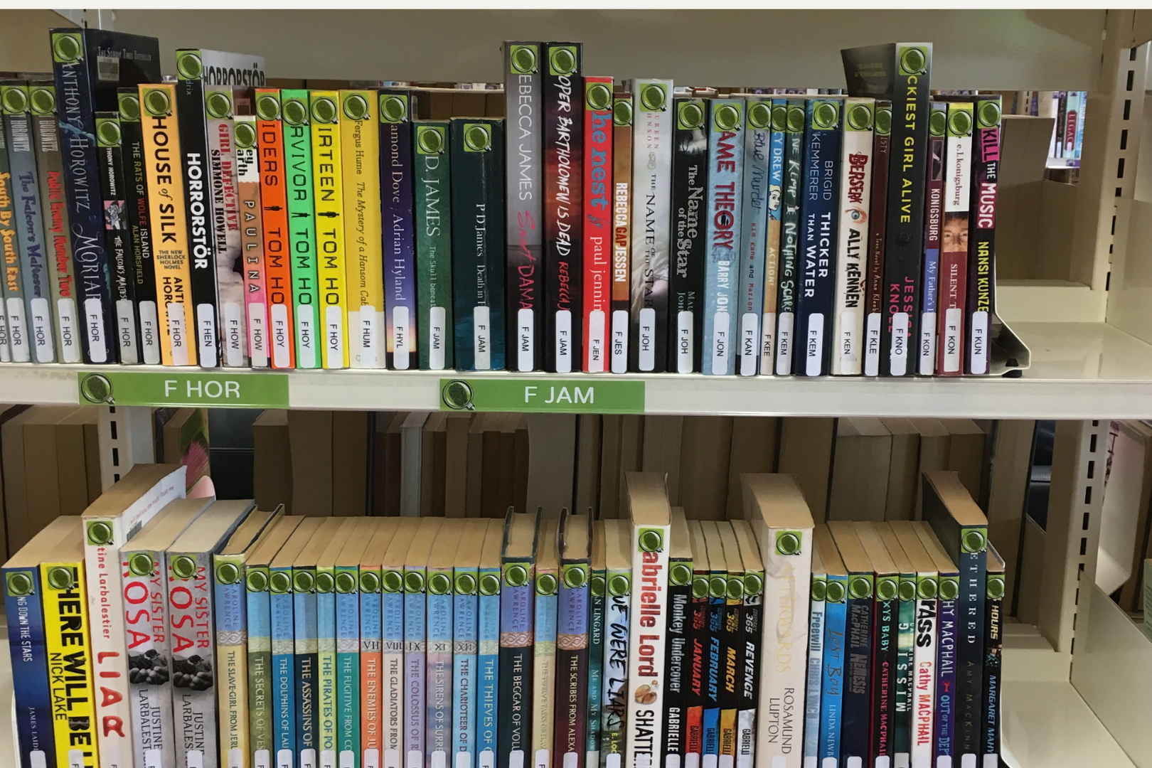 Acrylic Collection Dividers Acrylic Collection Dividers