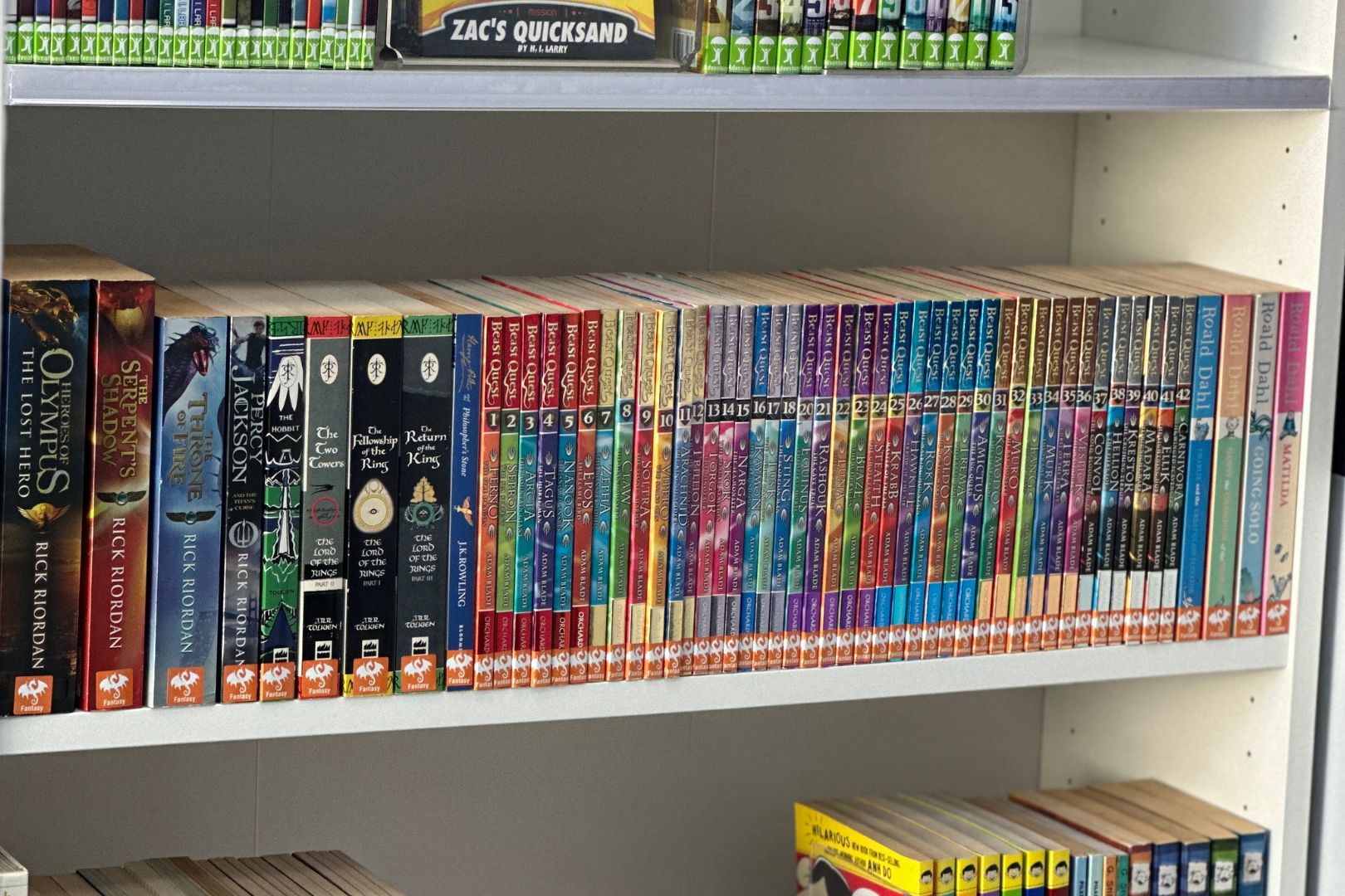 Acrylic Collection Dividers Acrylic Collection Dividers