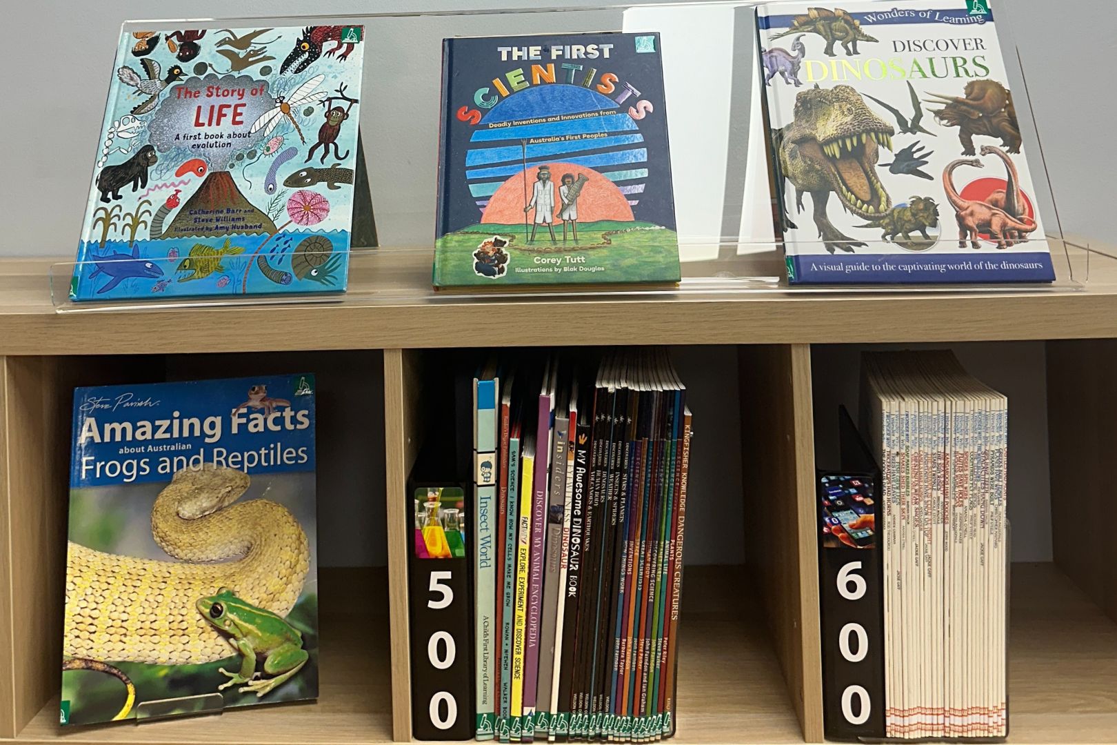 Acrylic Collection Dividers Acrylic Collection Dividers